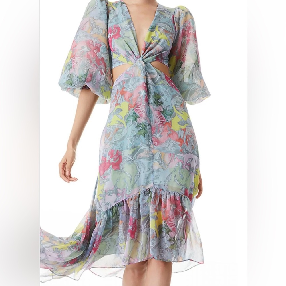 Alice & Olivia “Lola’s Dream” Katia Dress